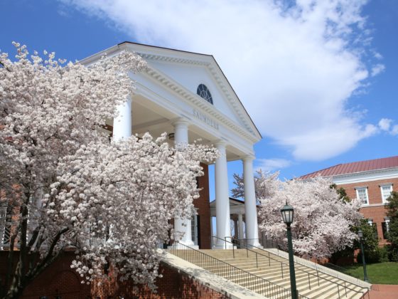 Darden grounds in the spring
