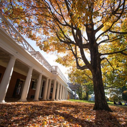 A shot of Grounds during Fall