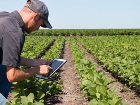 Sustainable Agriculture Needs Digitization