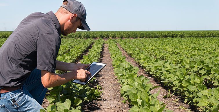 Sustainable Agriculture Needs Digitization